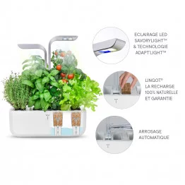 SMART (Copper version) - Potager d'Intérieur Fabriqué en France – Jardin  Autonome Intelligent 3760262510057 freeshipping - Tecin.fr – TECIN HOLDING