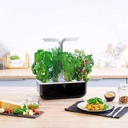 Potager Véritable® SMART Soft Black sur un comptoir de cuisine avec assiette