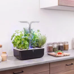 Potager Véritable® SMART Soft Black sur un comptoir de cuisine