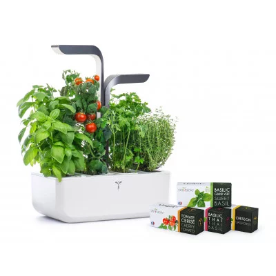 Boîte de culture – Boîte de jardin – Kit de jardin d'herbes aromatiques  d'intérieur –