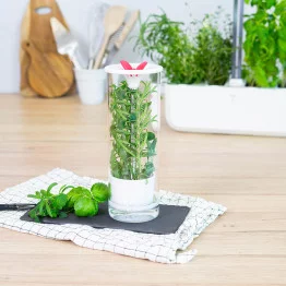 Permet de conserver jusqu'à 3 semaines des herbes fraiches coupées Permet de conserver jusqu'à 3 semaines des herbes fraiches coupées
