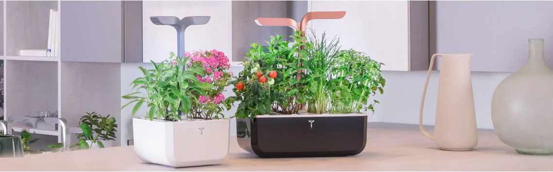 Indoor Gardens Veritable | All our models