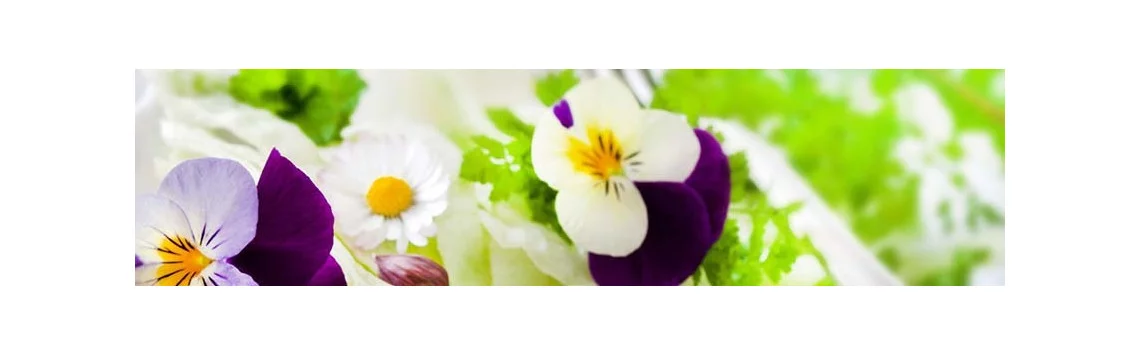 Fleurs comestibles | Lingots Véritable®