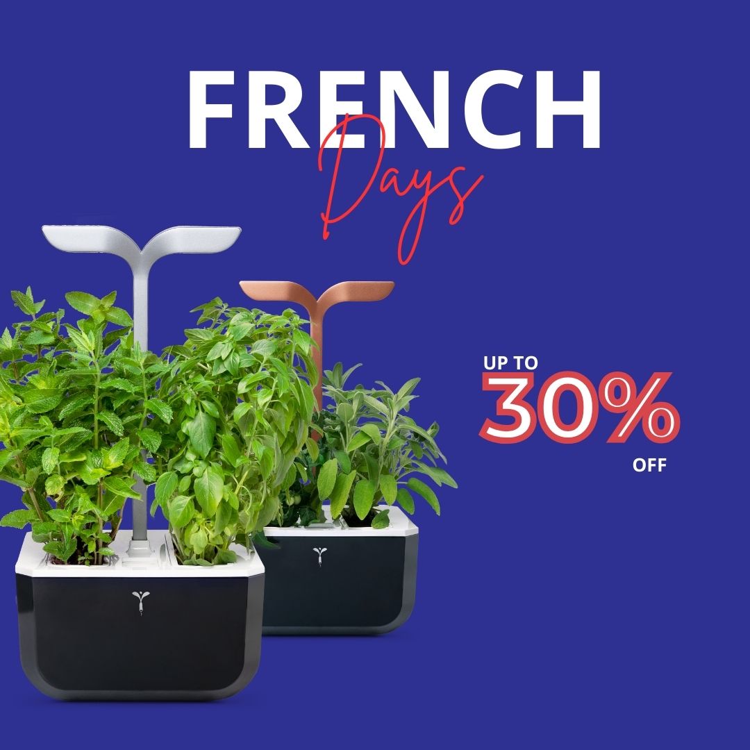 It's French Days! Take advantage of vegetable gardens at bargain prices!