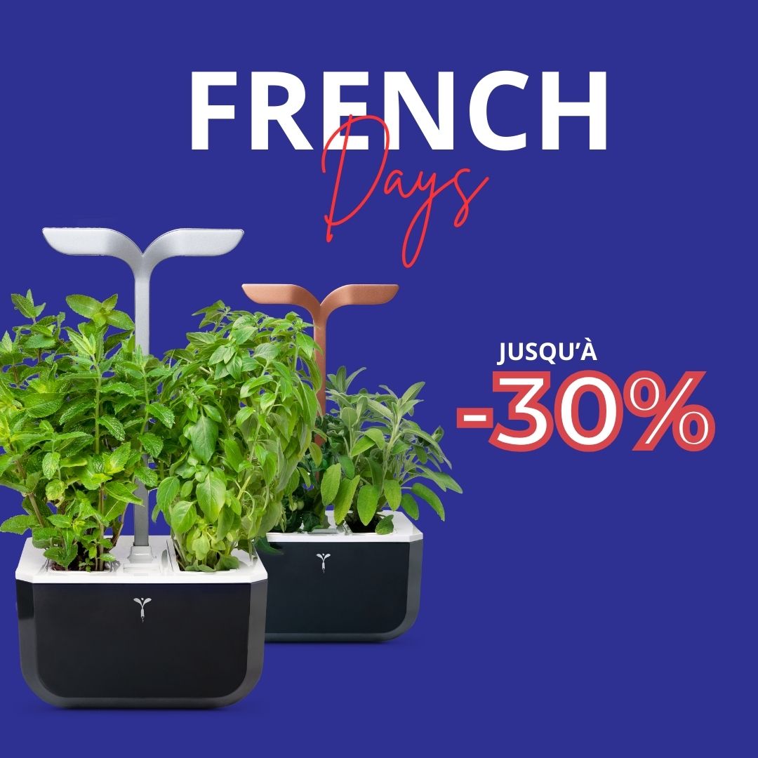 C'est les French Days ! Profitez de potagers à prix mini !