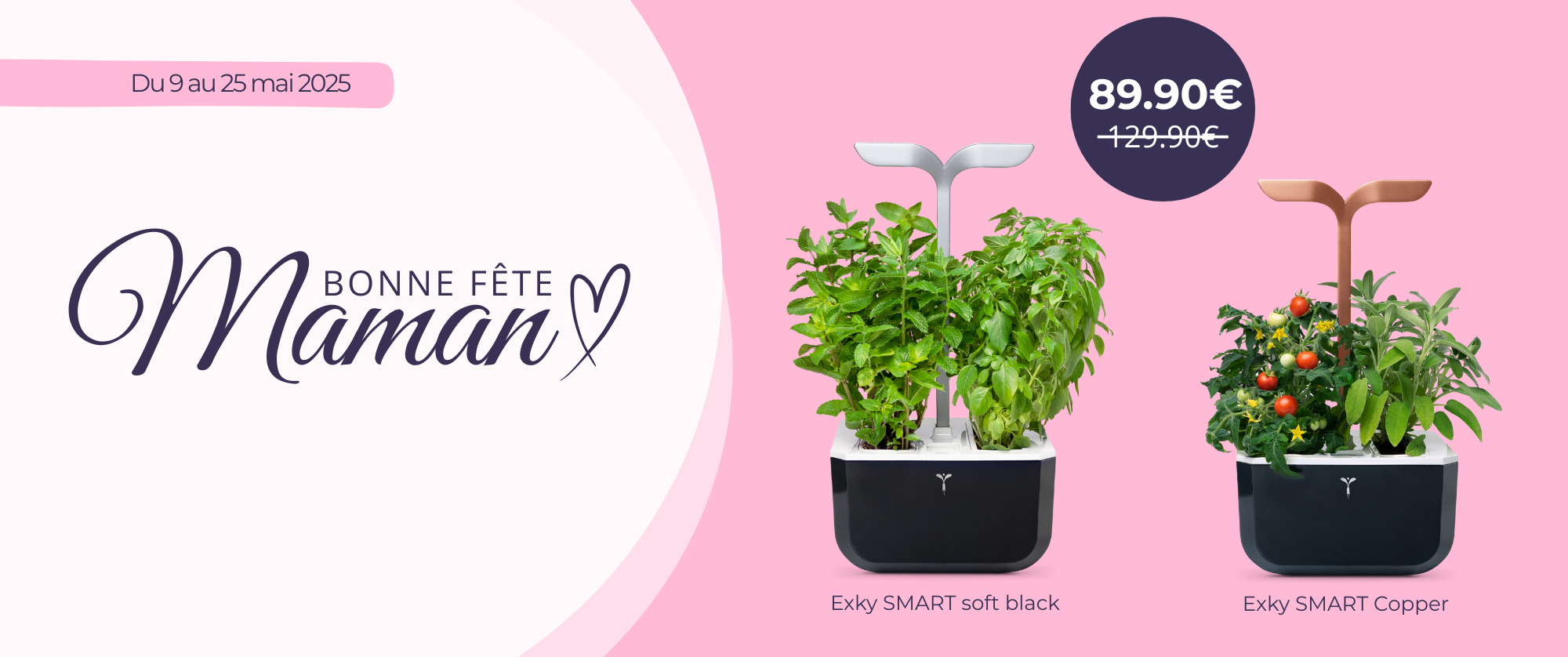 Offrez à votre maman des fleurs qui durent des mois dans leur potager Exky