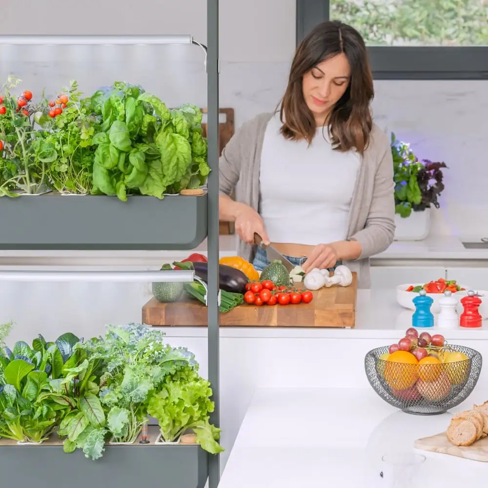 Back the launch of Gourmet on Kickstarter