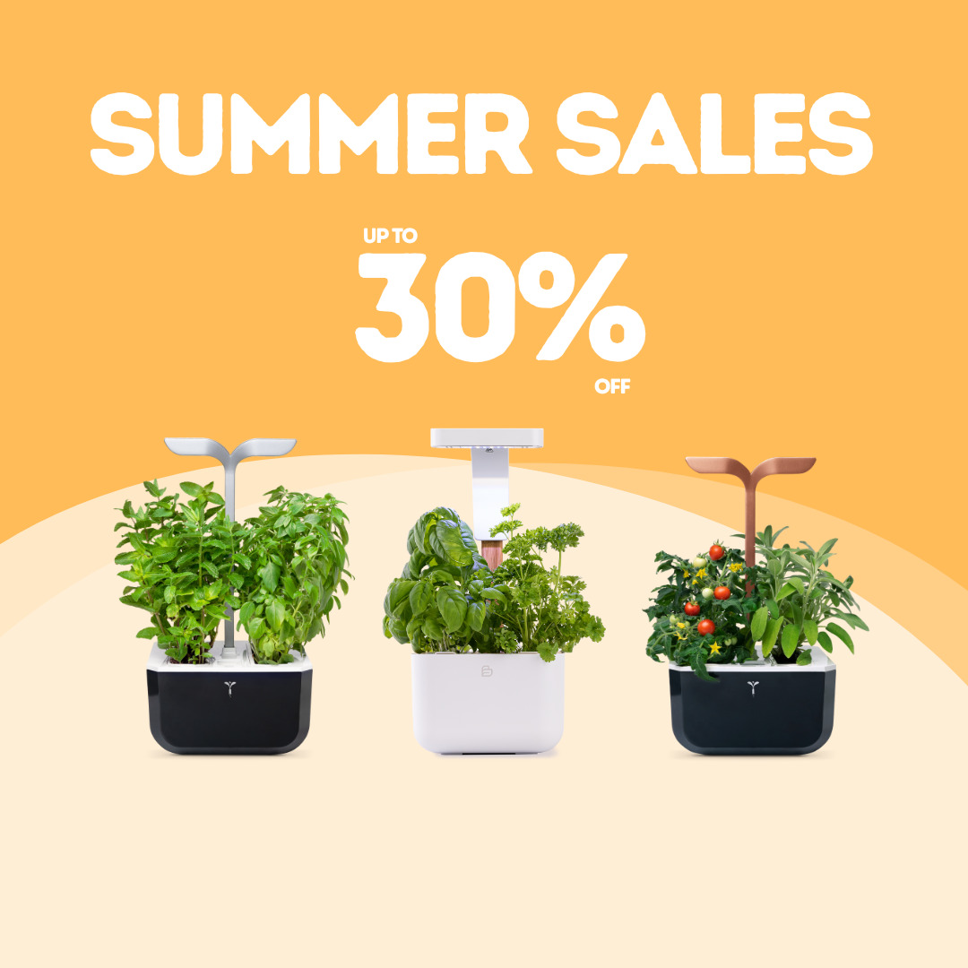Botanéo and Exky SMART SB and CO vegetable gardens on sale at Véritable