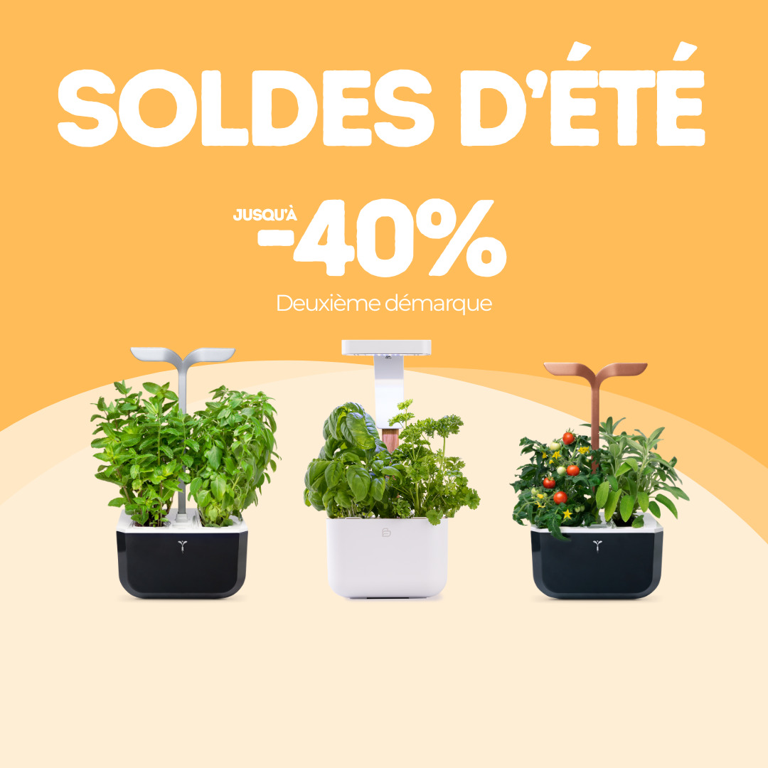 Les potagers Botanéo et Exky SMART SB et CO sont en solde chez Véritable