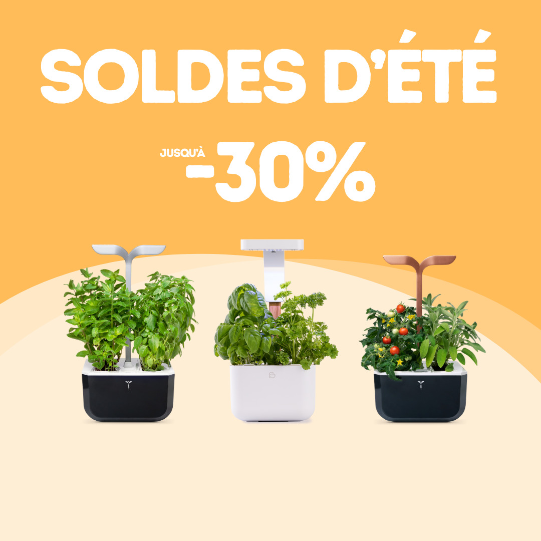 Les potagers Botanéo et Exky SMART SB et CO sont en solde chez Véritable