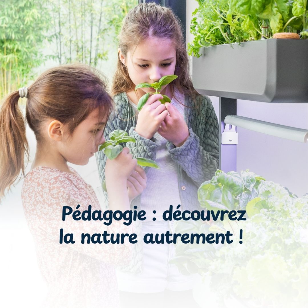 pédagogie : découvrez la nature autrement