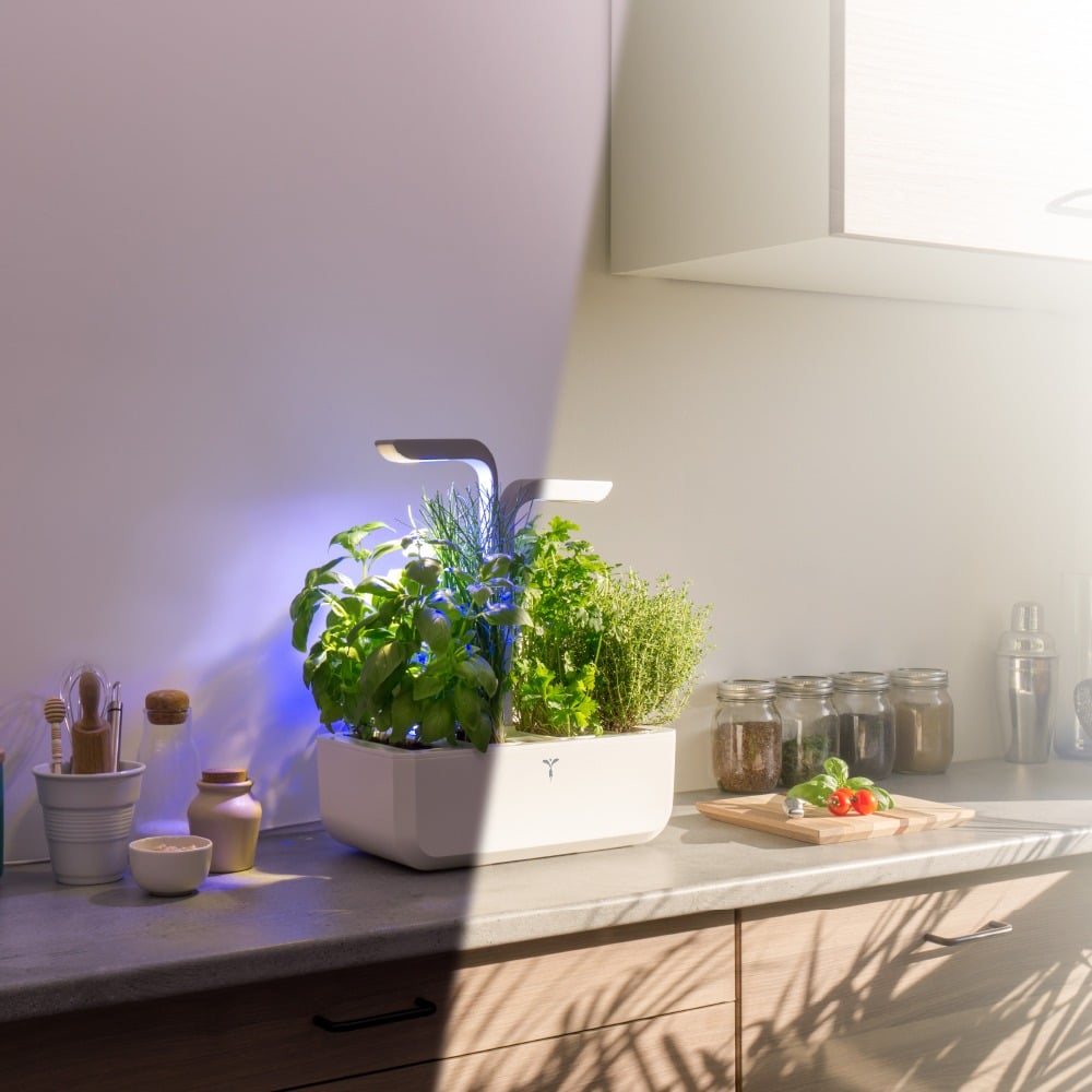 Véritable SMART gardens adapt to any place: dark or bright