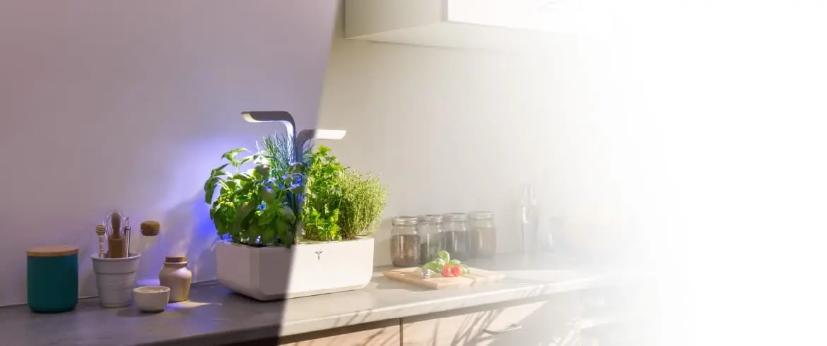 Generous autonomous indoor garden Véritable SMART for all rooms!