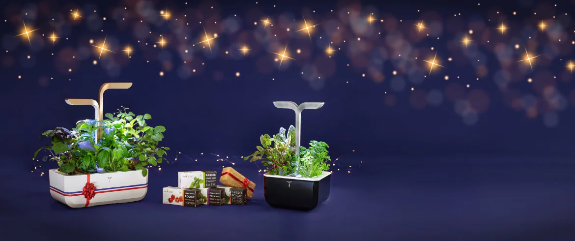 Treat yourself this holiday season with a self-sufficient vegetable garden Véritable