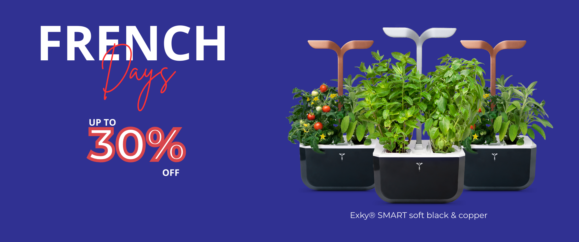 It's French Days! Take advantage of vegetable gardens at bargain prices!