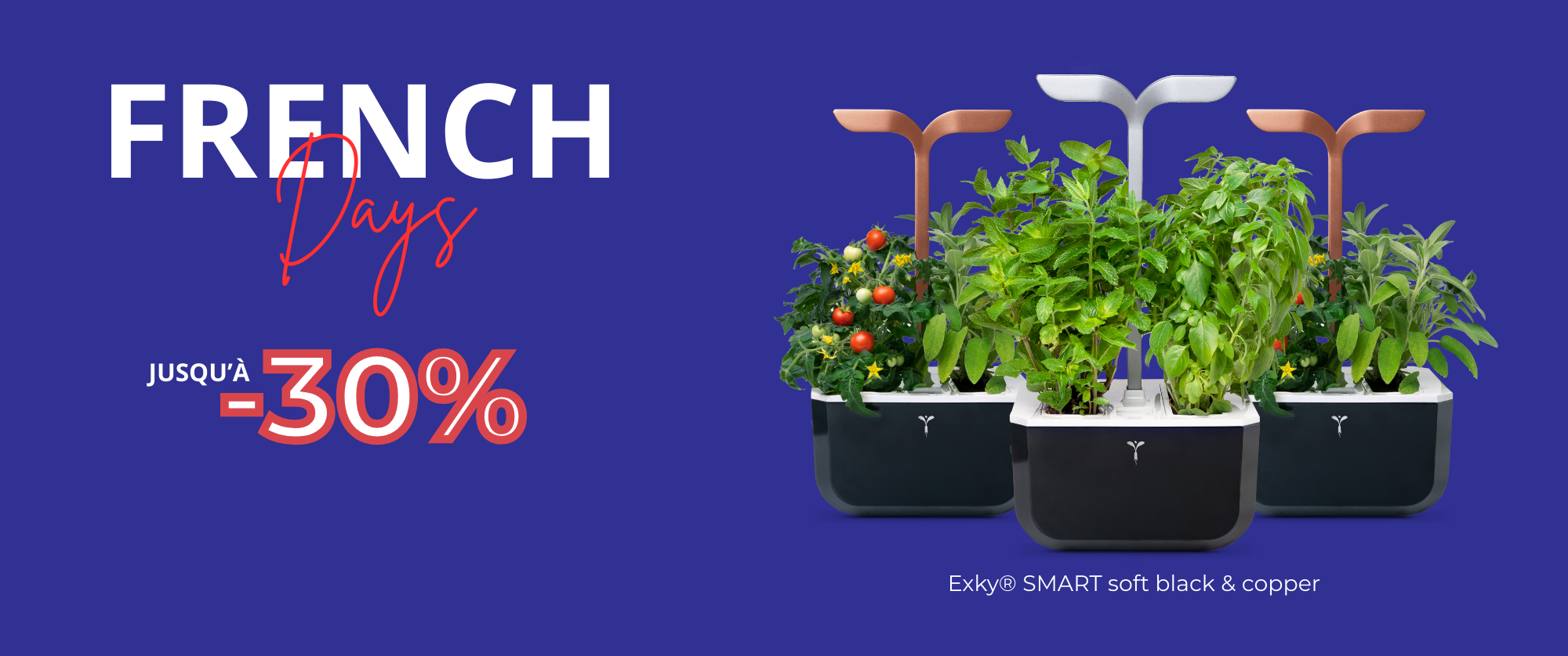 C'est les French Days ! Profitez de potagers à prix mini !