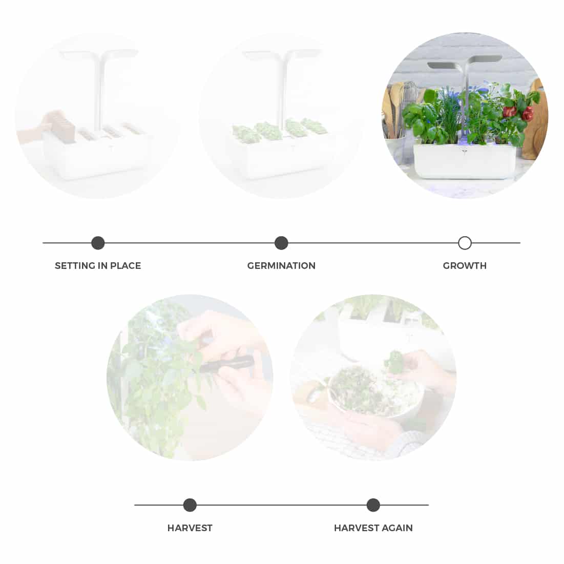 Veritable Smart Indoor Garden & Herb Grower, Growhouse & Growlight, Made in  France on Food52