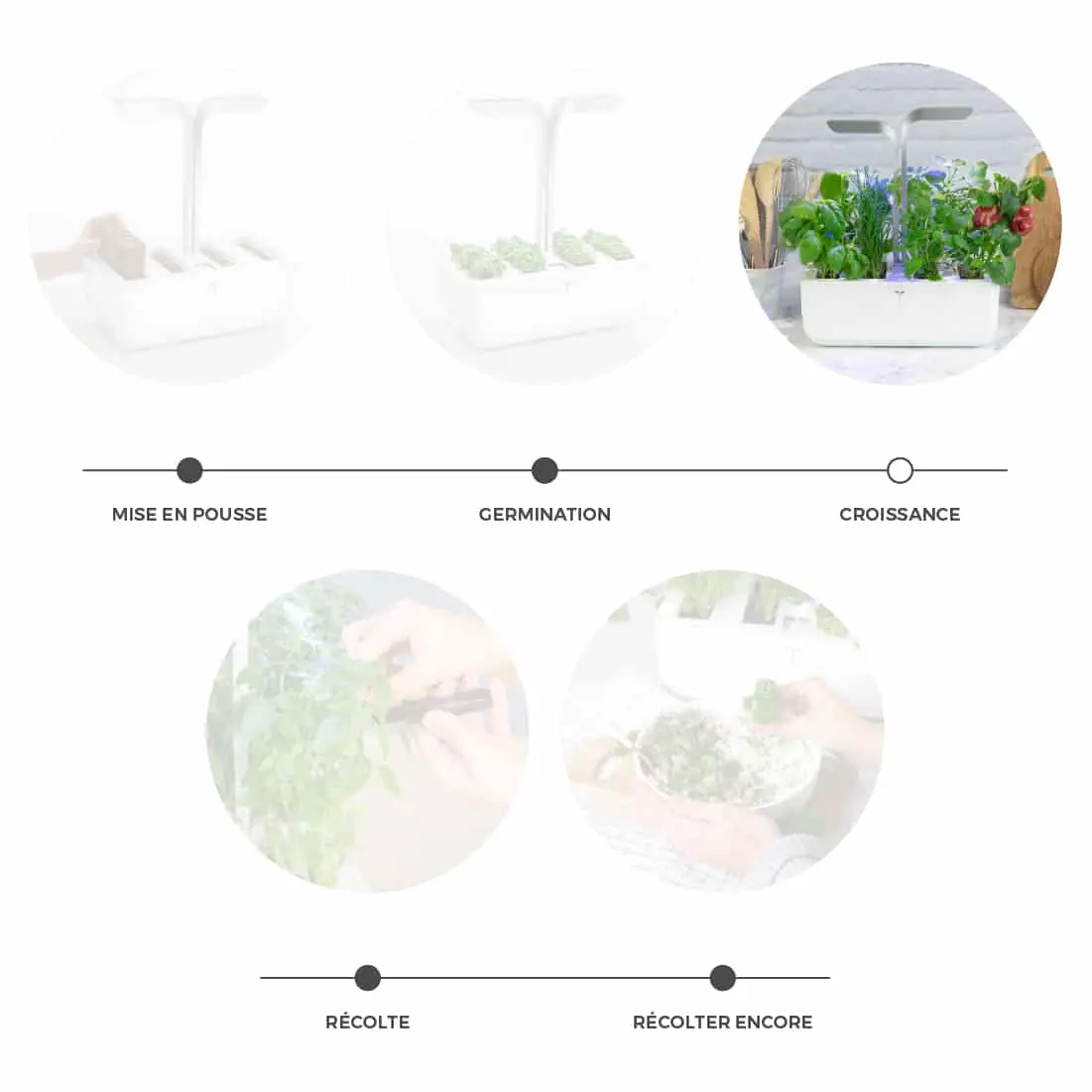 Prise en main] Potager Véritable ou comment cultiver ses herbes chez soi