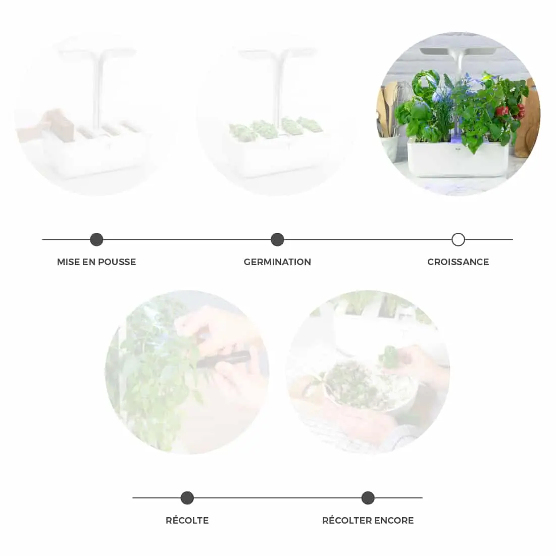 Potager Véritable® CLASSIC - Jardin aromatique d'intérieur autonome