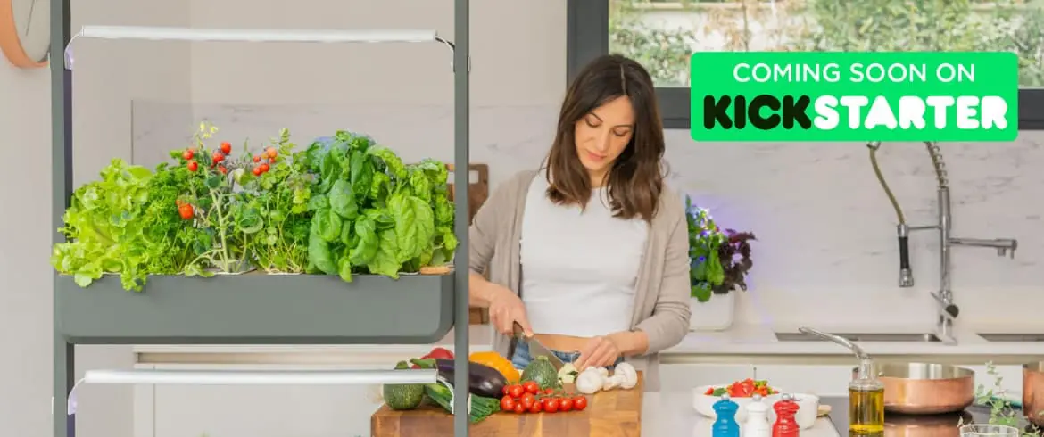 Slider Noël 2022 60 € de remise sur votre potager Véritable