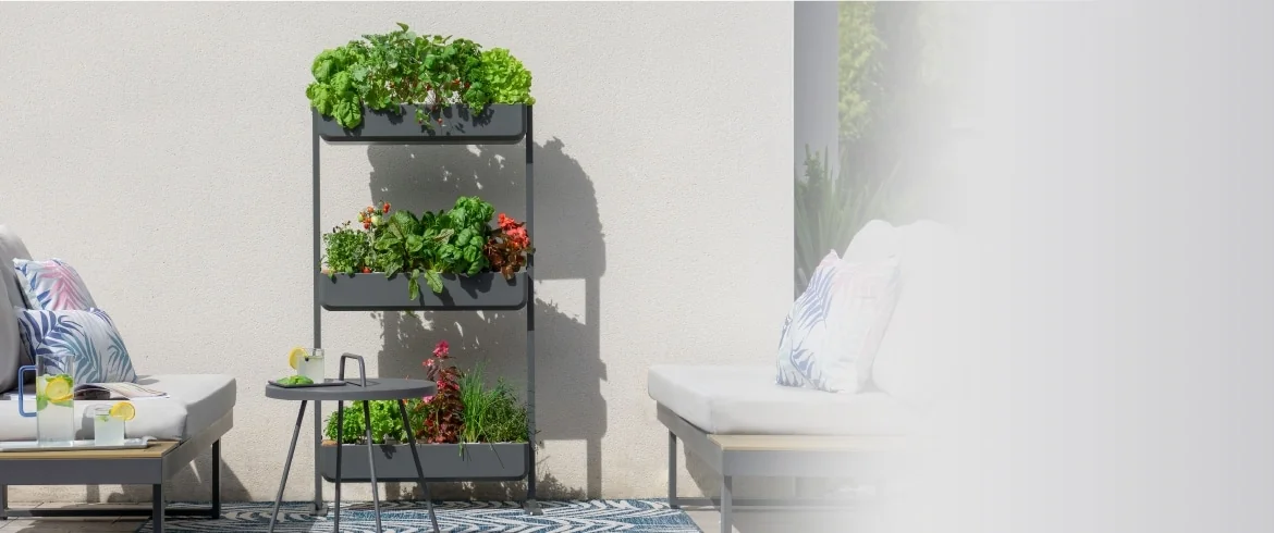 Et si on révolutionnait (encore) le monde du jardinage avec Gourmet ?