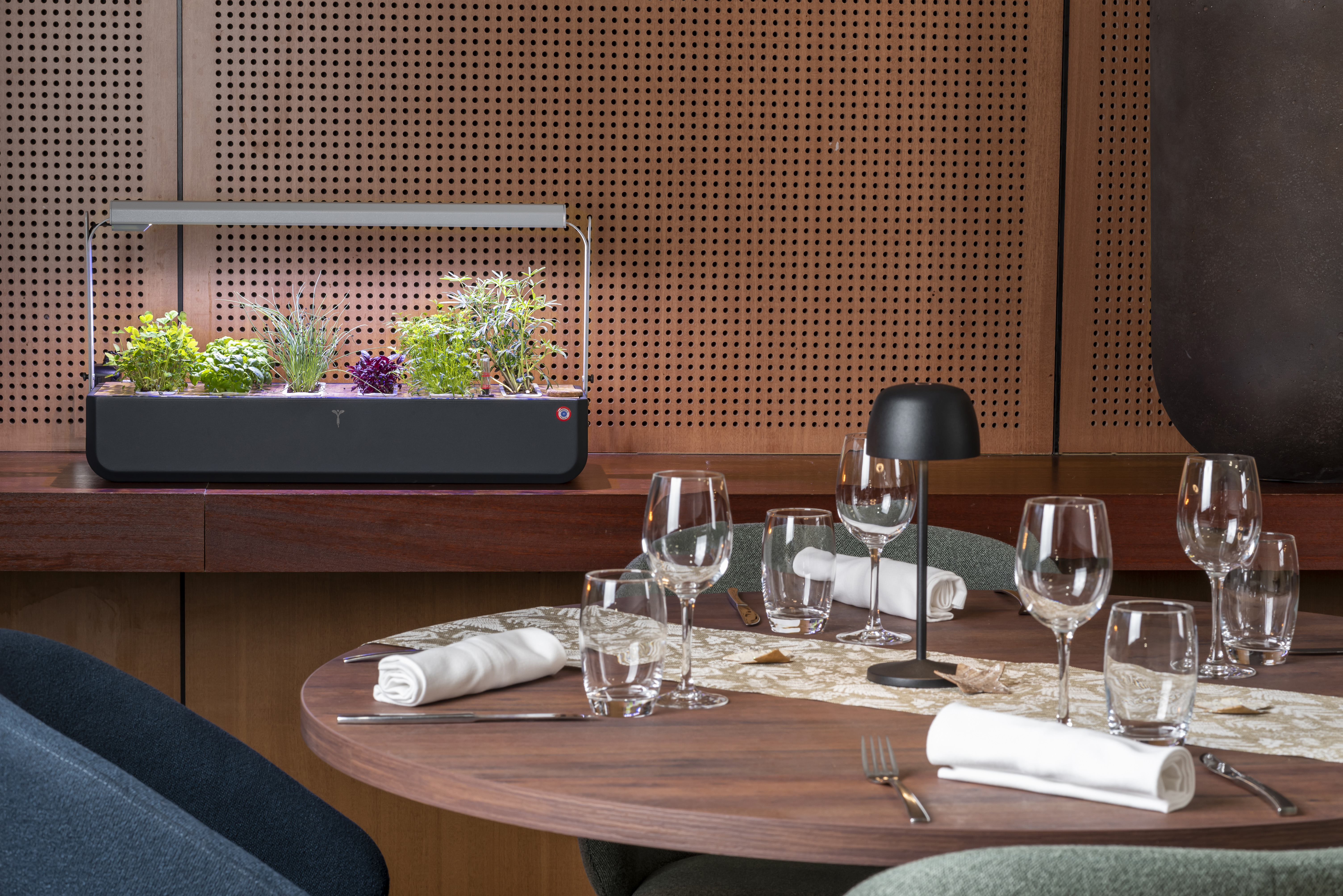 Le jardin autonome Gourmet est un allié de choix pour les professionnels de la restauration