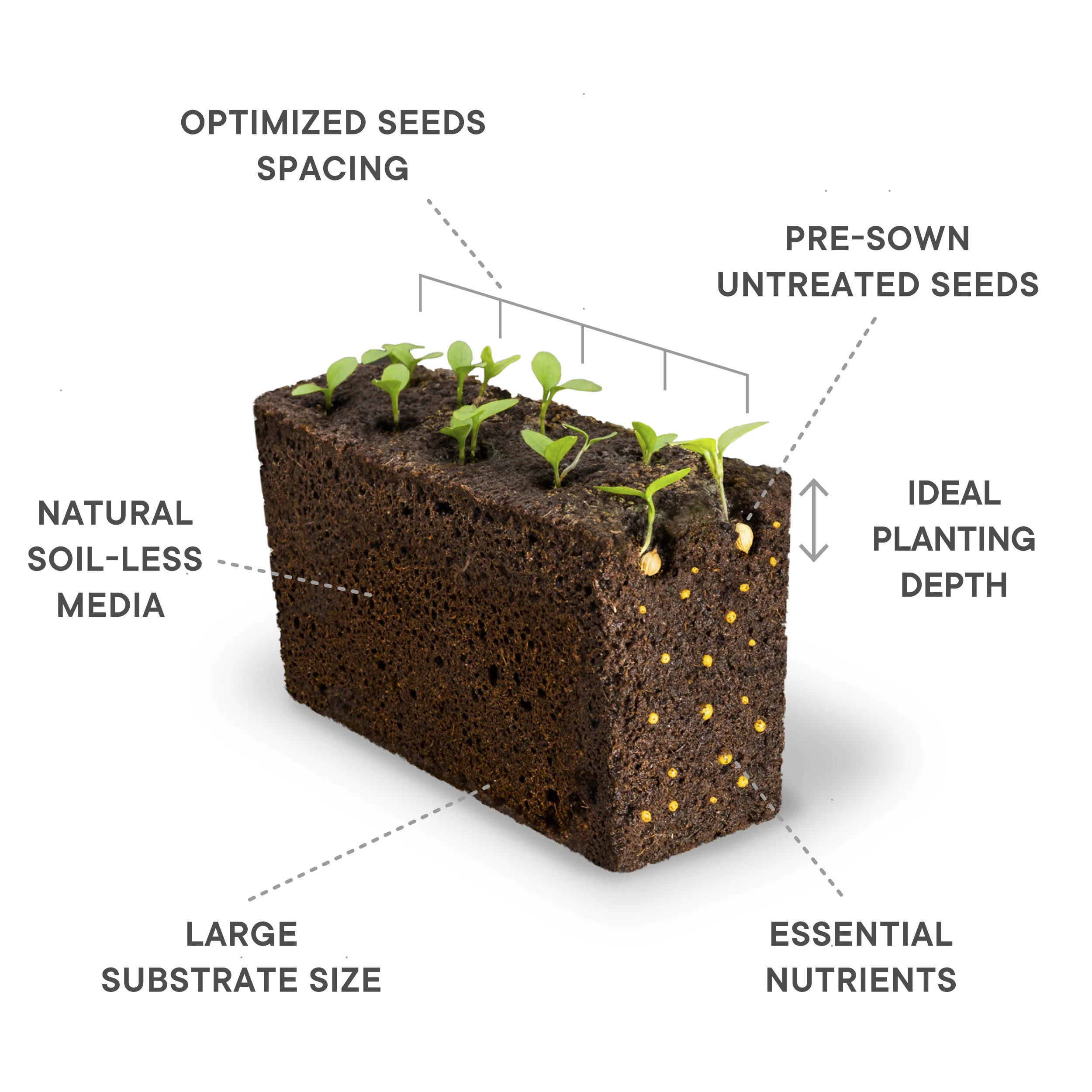 The Lingot®: a condensed technology