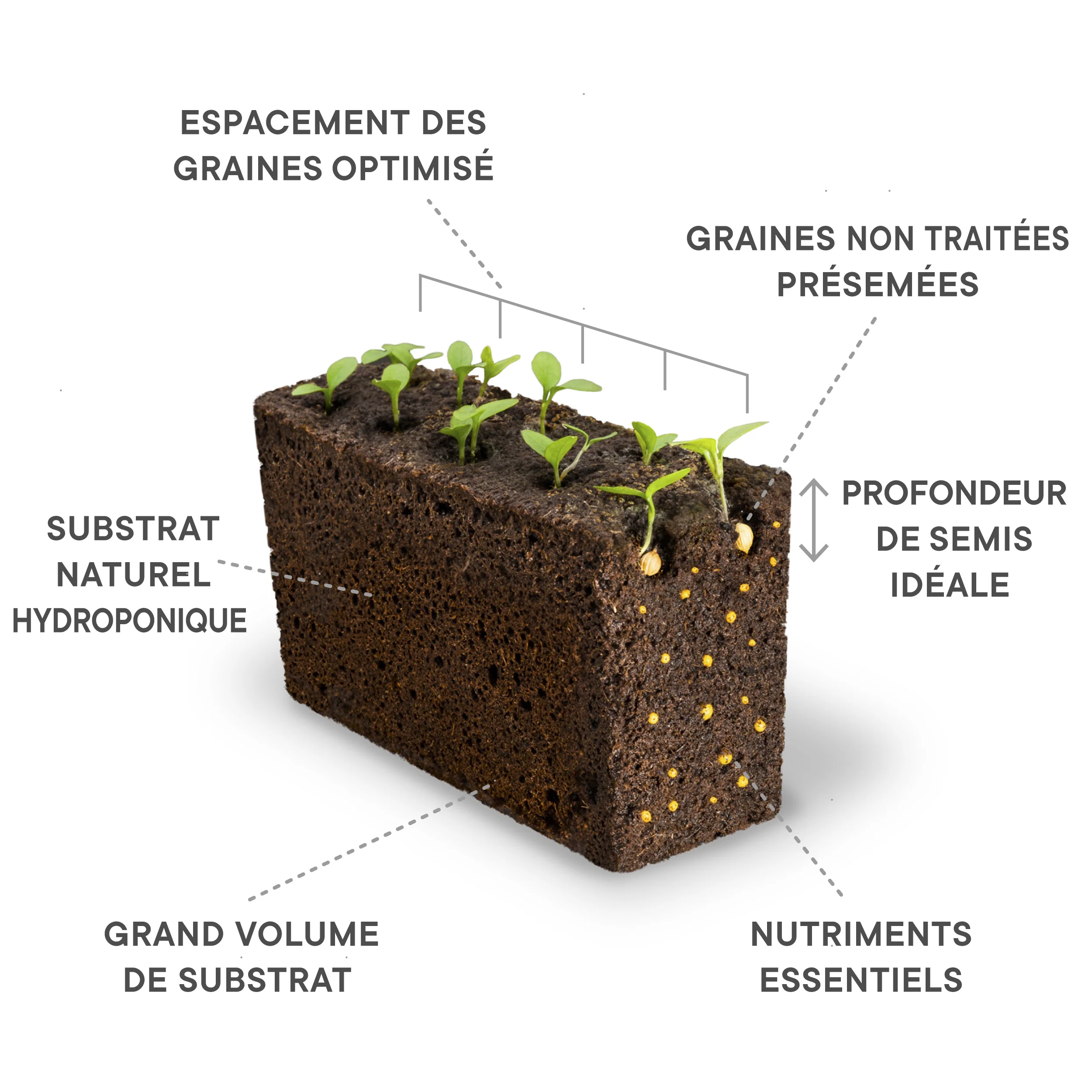 Le Lingot® : un condensé de technologie