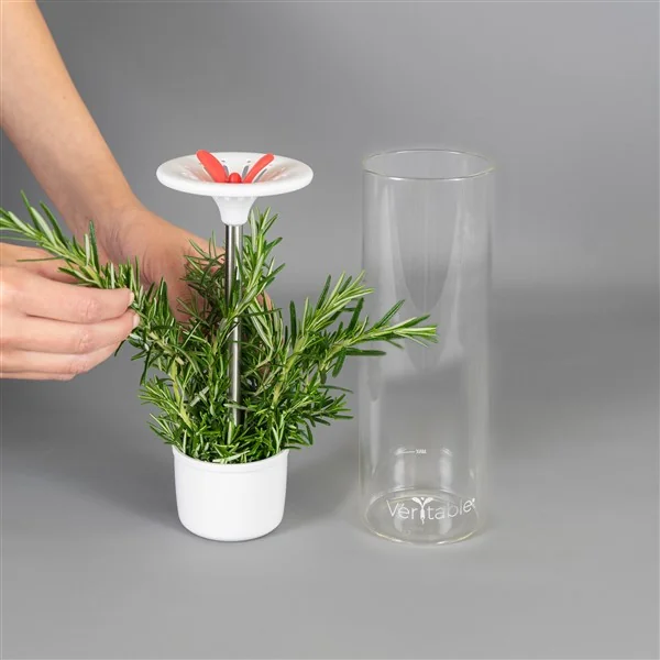 1. Place the herbs in the basket