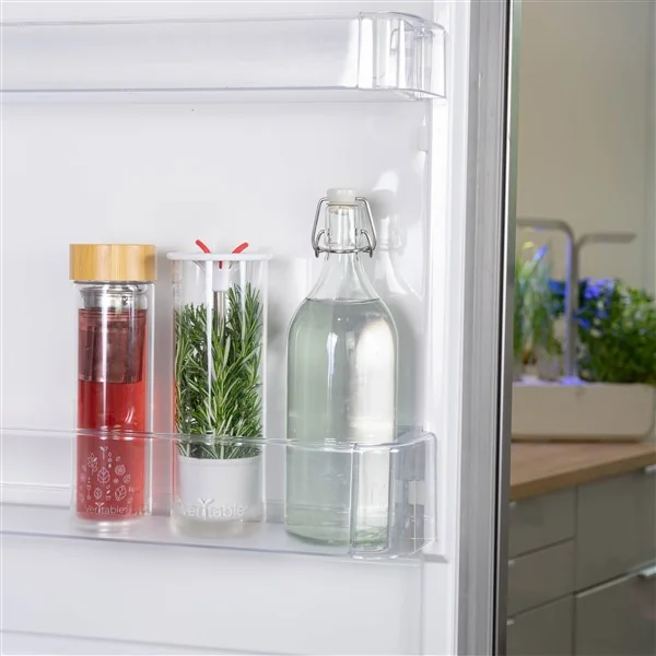 5. Place in the fridge