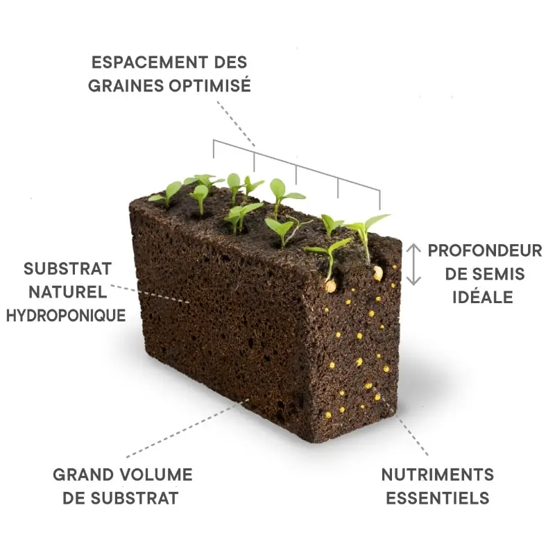 Caractéristiques techniques du Lingot sans graines