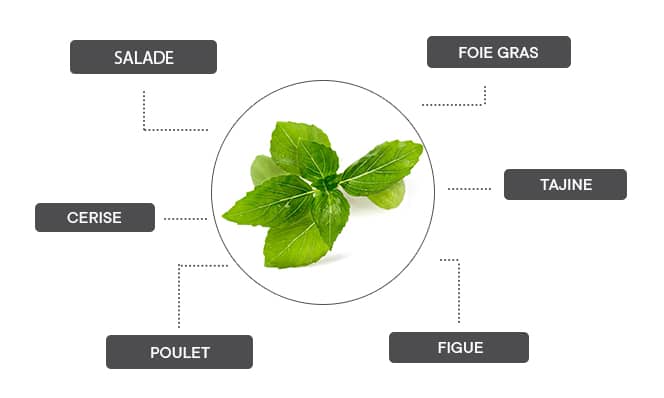 Le basilic cannelle se marie avec les salades, le foie gras, le tajine, la figue, le poulet et la cerise.