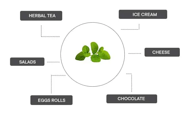 How can galcial mint be associated?