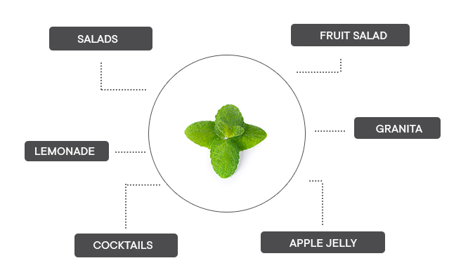 How can apple mint be associated?