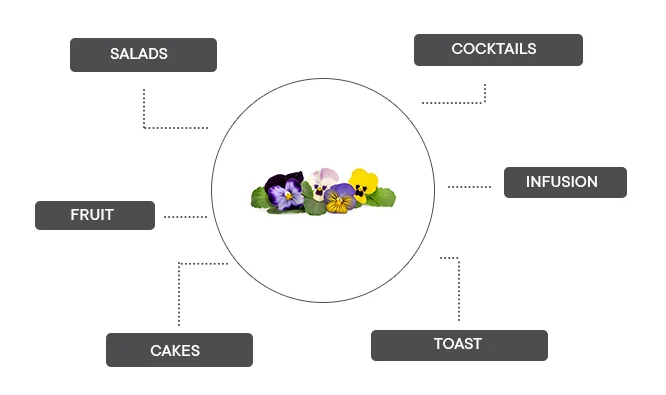 How can colorful pansy be associated?