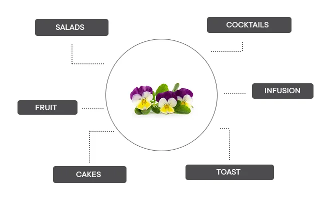 How can yellow jump pansy be associated?