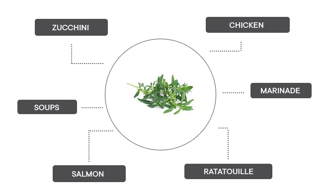 How can mountain savory be associated?