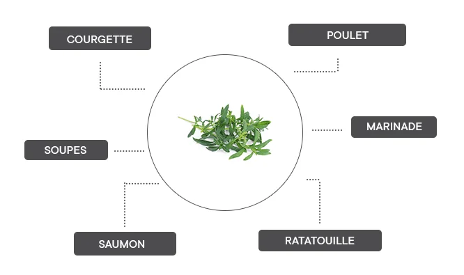 comment associer la sarriette des montagnes ? 