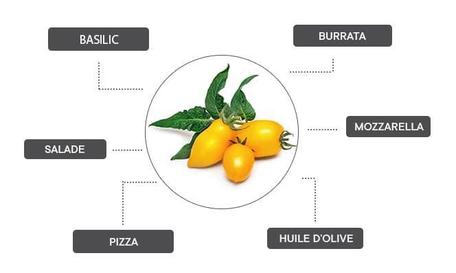 Comment associer les mini tomates jaunes ?