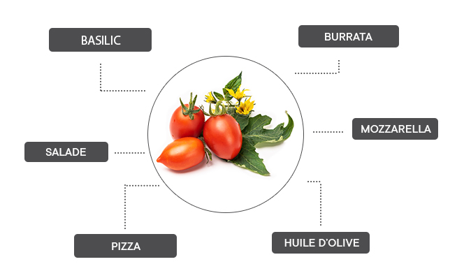 Comment associer les mini tomates rouges ?
