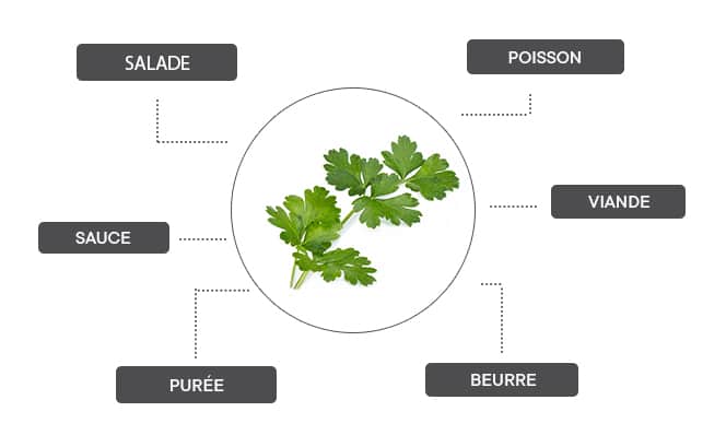 Comment associer le persil plat ?