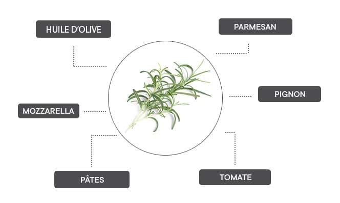 Comment associer le romarin ?