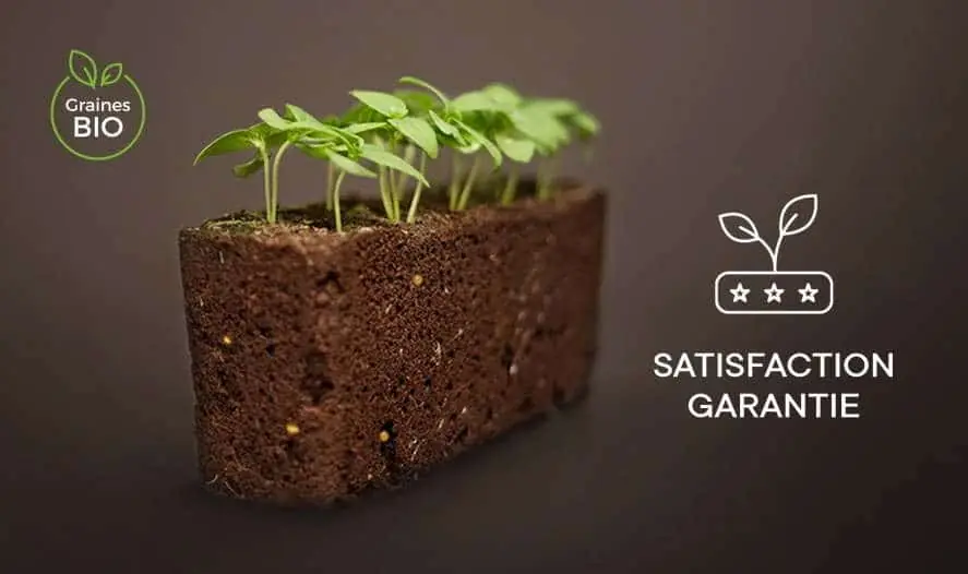 Liv : un potager d'intérieur connecté pour cultiver jusqu'à 2 kg