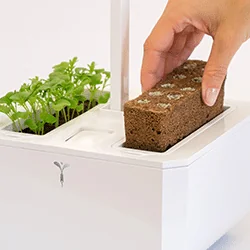 Potager d'intérieur Exky Smart Cuivre avec 2 lingots OFFERTS - VERITAB – Le  Comptoir de France