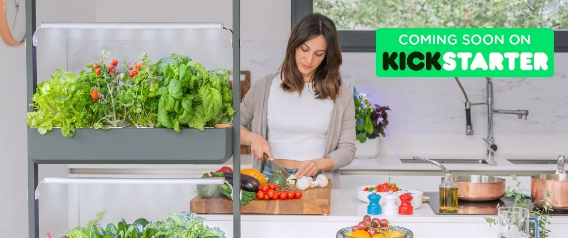 Gourmet will be on Kickstarter Gourmet will be on Kickstarter