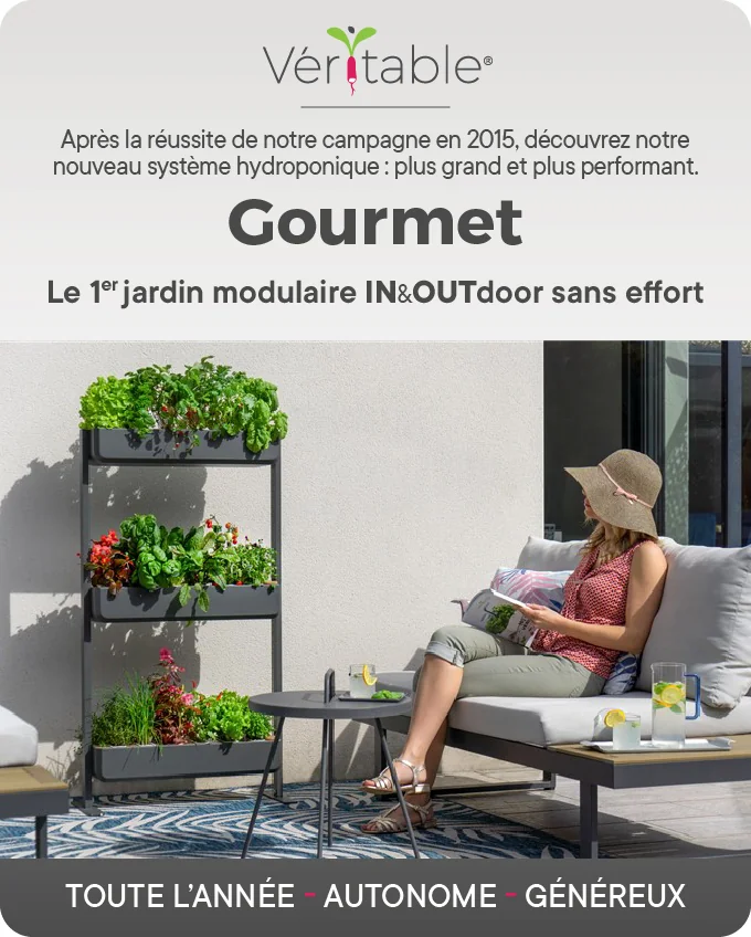 8 ans après le 1er Kickstarter, Véritable lance Gourmet 8 ans après le 1er Kickstarter, Véritable lance Gourmet