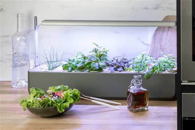 Le jardinage nécessite des connaissances, du temps, de l'espace, du matériel et un sol fertile. Avec Gourmet, vous n'avez besoin de rien de tout cela. Il s'occupe de tout pour garantir une croissance optimale des plantes :Système d'auto-arrosage (avec option Autofill™). Recharge de plantes tout-en-un : le Lingot® (graines et nutriments inclus). Lampe de culture à LED à faible consommation d'énergie (pour une utilisation en intérieur). Gourmet rend super facile la reconnexion avec la nature et le retour à des valeurs plus simples et plus saines.