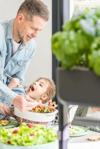 Retrouvez le plaisir de la diversité alimentaire avec Gourmet