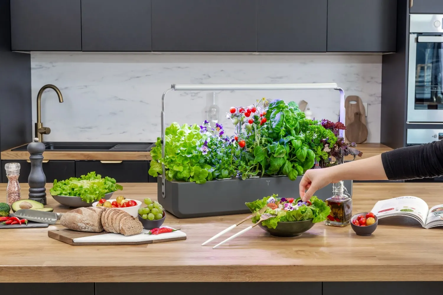 Gourmet Indoor : le plus généreux des potagers Véritable !