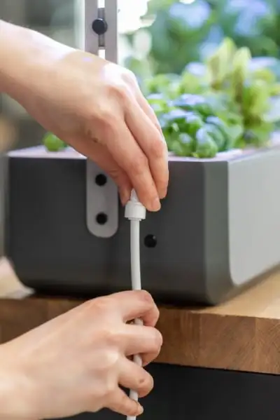 Gourmet automatic irrigation system